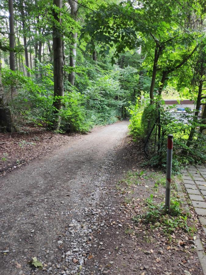 Ferienwohnung Waldblick Teutoburger Wald Oerlinghausen Exterior photo